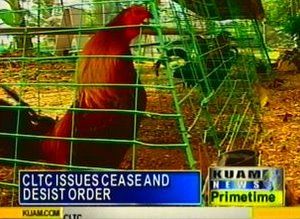 Dededo resident issued cease-&-desist order from CLTC