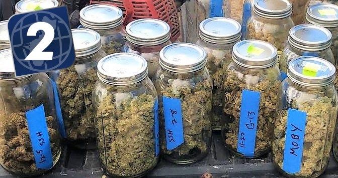 2. Marijuana legalized on Guam