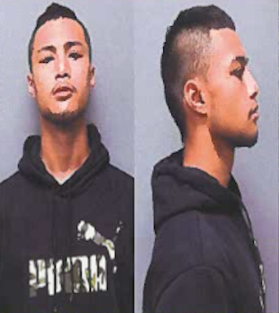 Manhunt underway for serial thief