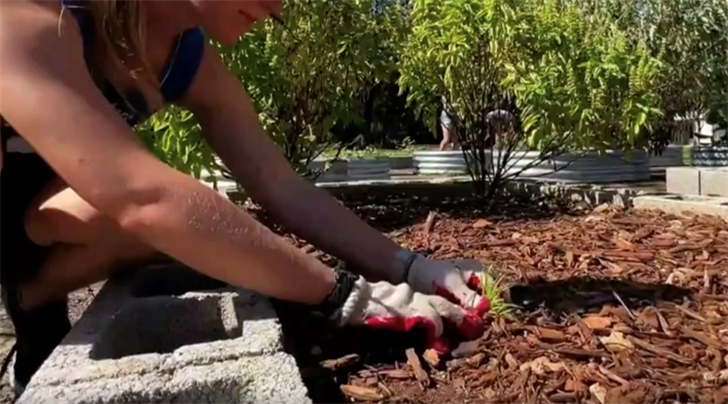 Guam Green Growth finds new lifelines as national budget priorities shift