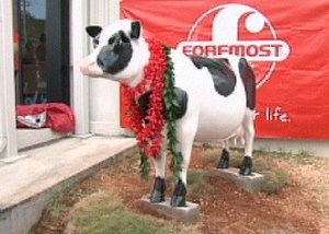 Foremost welcomes back Chamoorita!