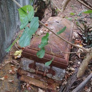 Rusty casket discovered in jungle near Togcha