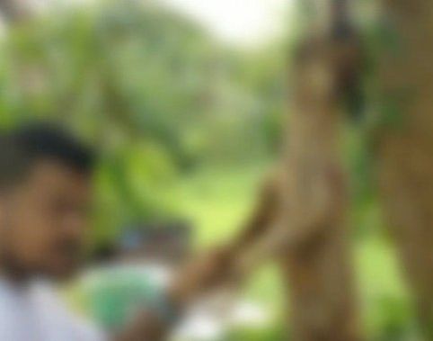 Shocking video shows dead dog being prepared as a meal