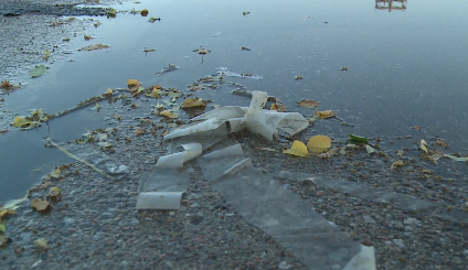 Experts: West Nile virus likely to hit Metro