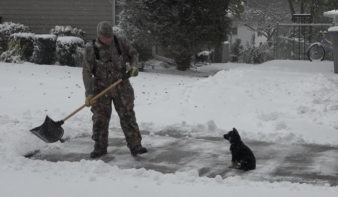Winter weather snow breaks a record in Norfolk