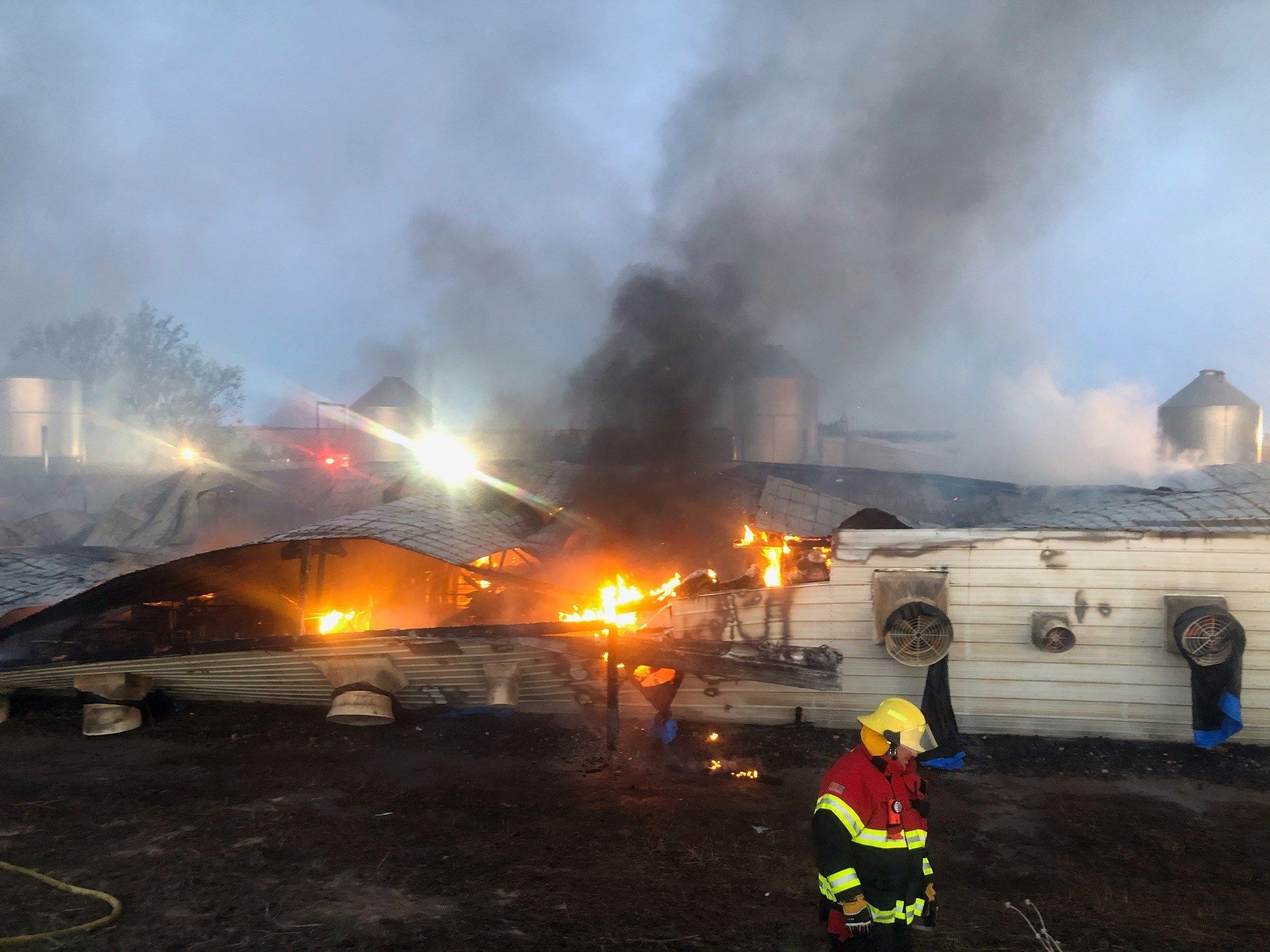 Approximately 10,000 hogs killed in fire at Pillen Family Farms