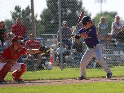 Sidney, Bridgeport end seasons at Area Tournaments