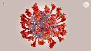 Two Cases Of Omicron Confirmed In Panhandle