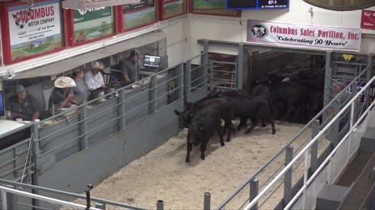 Flood visits Columbus for two celebrations